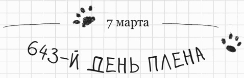 Иллюстрация к книге — Дневник дебильного кота 2. Банда Эдгара [i_030.jpg]