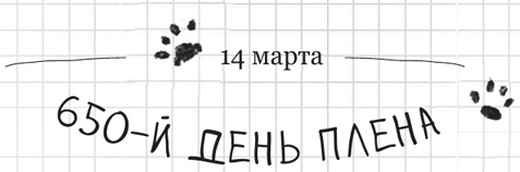 Иллюстрация к книге — Дневник дебильного кота 2. Банда Эдгара [i_036.jpg]