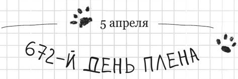 Иллюстрация к книге — Дневник дебильного кота 2. Банда Эдгара [i_051.jpg]