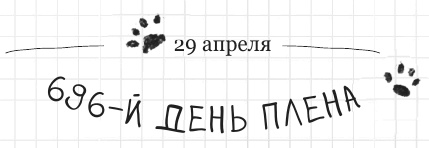 Иллюстрация к книге — Дневник дебильного кота 2. Банда Эдгара [i_067.jpg]