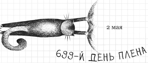 Иллюстрация к книге — Дневник дебильного кота 2. Банда Эдгара [i_069.jpg]