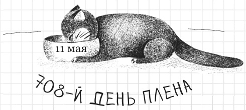 Иллюстрация к книге — Дневник дебильного кота 2. Банда Эдгара [i_077.jpg]