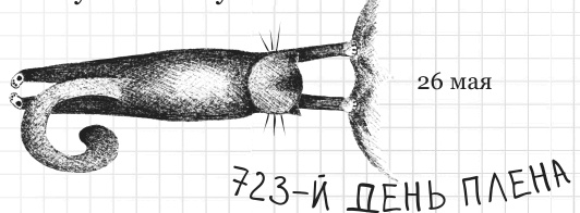 Иллюстрация к книге — Дневник дебильного кота 2. Банда Эдгара [i_089.jpg]