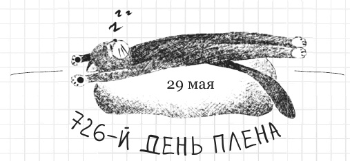 Иллюстрация к книге — Дневник дебильного кота 2. Банда Эдгара [i_092.jpg]