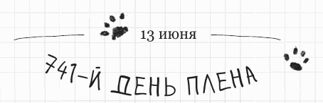 Иллюстрация к книге — Дневник дебильного кота 2. Банда Эдгара [i_096.jpg]