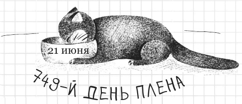 Иллюстрация к книге — Дневник дебильного кота 2. Банда Эдгара [i_101.jpg]