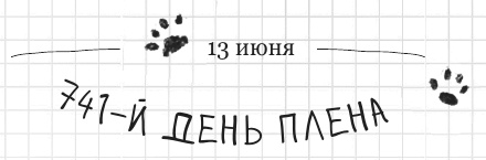 Иллюстрация к книге — Дневник дебильного кота 2. Банда Эдгара [i_106.jpg]