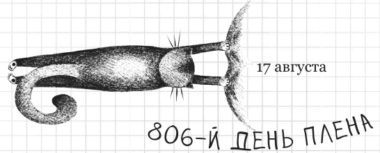 Иллюстрация к книге — Дневник дебильного кота 2. Банда Эдгара [i_115.jpg]