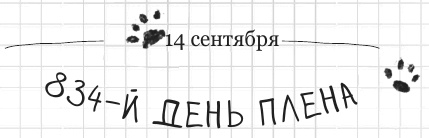 Иллюстрация к книге — Дневник дебильного кота 2. Банда Эдгара [i_122.jpg]