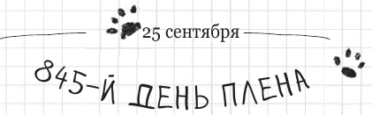 Иллюстрация к книге — Дневник дебильного кота 2. Банда Эдгара [i_128.jpg]