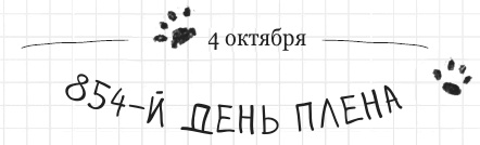 Иллюстрация к книге — Дневник дебильного кота 2. Банда Эдгара [i_148.jpg]