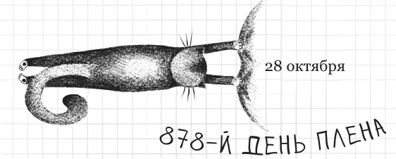 Иллюстрация к книге — Дневник дебильного кота 2. Банда Эдгара [i_152.jpg]