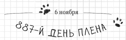 Иллюстрация к книге — Дневник дебильного кота 2. Банда Эдгара [i_160.jpg]