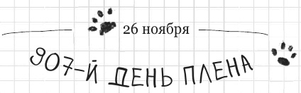 Иллюстрация к книге — Дневник дебильного кота 2. Банда Эдгара [i_165.jpg]
