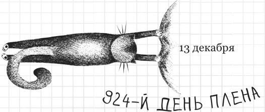 Иллюстрация к книге — Дневник дебильного кота 2. Банда Эдгара [i_175.jpg]