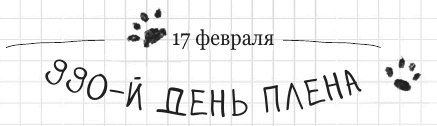 Иллюстрация к книге — Дневник дебильного кота 2. Банда Эдгара [i_187.jpg]