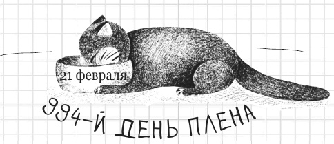 Иллюстрация к книге — Дневник дебильного кота 2. Банда Эдгара [i_188.jpg]