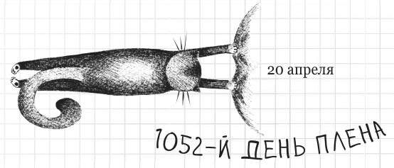 Иллюстрация к книге — Дневник дебильного кота 2. Банда Эдгара [i_196.jpg]