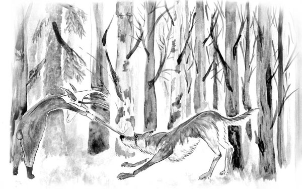 Иллюстрация к книге — Один год из жизни козы Фроси Помидоркиной [i_006.jpg]