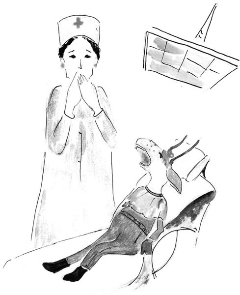 Иллюстрация к книге — Один год из жизни козы Фроси Помидоркиной [i_010.jpg]