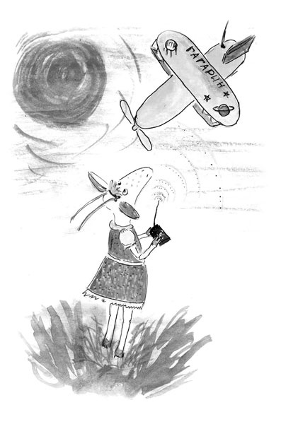 Иллюстрация к книге — Один год из жизни козы Фроси Помидоркиной [i_020.jpg]