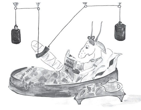 Иллюстрация к книге — Один год из жизни козы Фроси Помидоркиной [i_036.jpg]