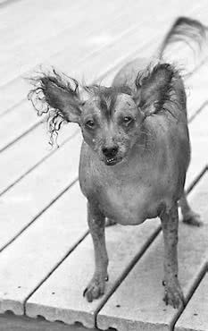 Иллюстрация к книге — FreshLife28. Как начать новую жизнь в понедельник и не бросить во вторник [i_002.jpg]