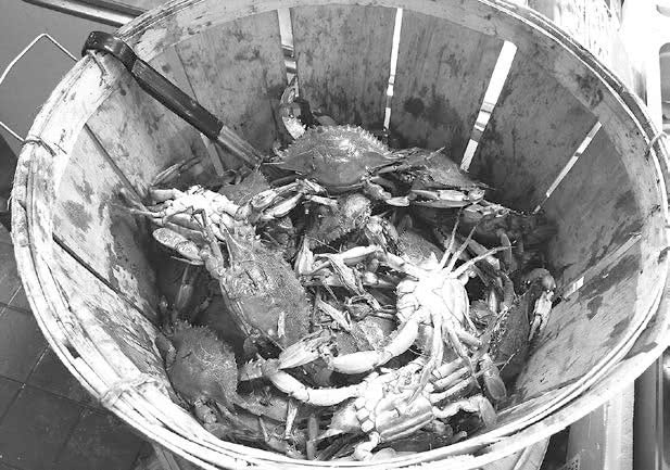 Иллюстрация к книге — FreshLife28. Как начать новую жизнь в понедельник и не бросить во вторник [i_017.jpg]