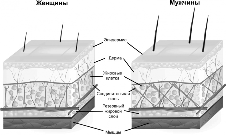 Иллюстрация к книге — FreshLife28. Как начать новую жизнь в понедельник и не бросить во вторник [i_041.jpg]