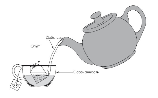 Иллюстрация к книге — Детокс души и тела. Как избавиться от эмоционального мусора и устранить причины болезней [i_001.jpg]