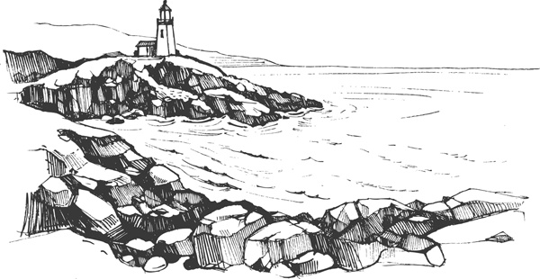 Иллюстрация к книге — Моя жизнь в его лапах. Удивительная история Теда - самой заботливой собаки в мире [i_022.jpg]