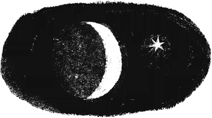 Иллюстрация к книге — Расстояние между мной и черешневым деревом [i_003.jpg]