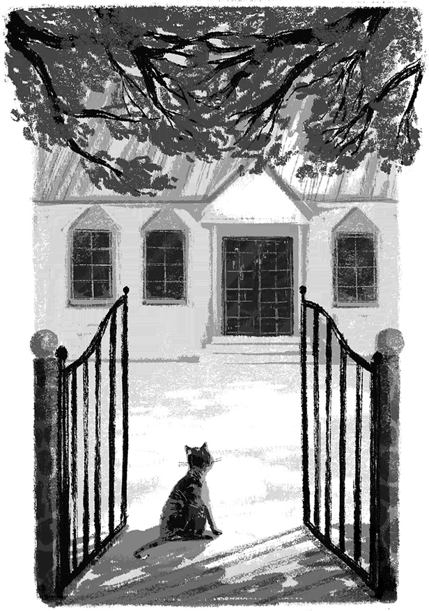 Иллюстрация к книге — Расстояние между мной и черешневым деревом [i_008.jpg]