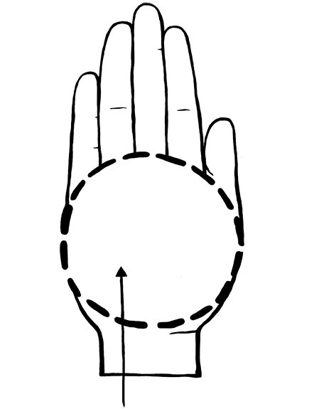 Иллюстрация к книге — Книга ЗОЖника  [i_019.jpg]