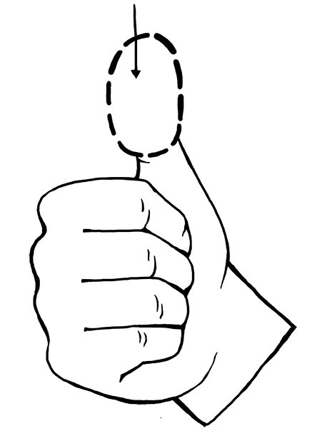 Иллюстрация к книге — Книга ЗОЖника  [i_022.jpg]