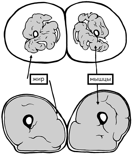 Иллюстрация к книге — Книга ЗОЖника  [i_027.jpg]