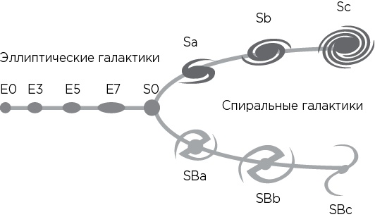 Иллюстрация к книге — Вселенная на ладони [i_043.jpg]
