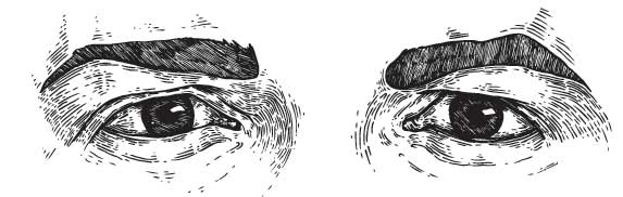 Иллюстрация к книге — Рыжий бродяга Тоби. Кот, подаривший утешение в самые трудные дни [i_002.jpg]