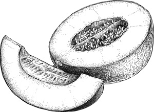 Иллюстрация к книге — Коты, вернувшие мне улыбку. История о счастье, книгах и всеобщих любимцах Бейкере и Тейлоре [i_006.jpg]