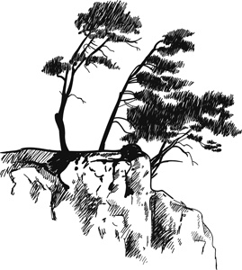 Иллюстрация к книге — Коты, вернувшие мне улыбку. История о счастье, книгах и всеобщих любимцах Бейкере и Тейлоре [i_013.jpg]