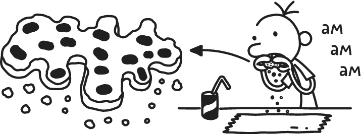 Иллюстрация к книге — Дневник Слабака. Предпраздничная лихорадка [i_154.jpg]