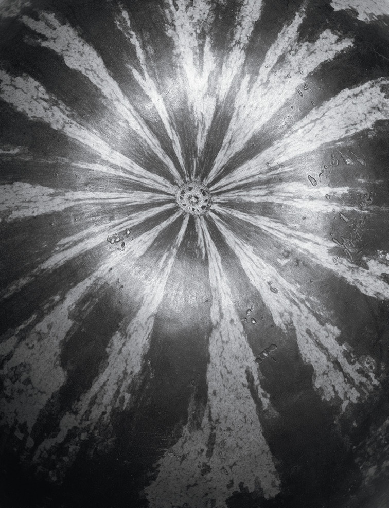 Иллюстрация к книге — Дзен-камера. Шесть уроков творческого развития и осознанности [i_006.jpg]