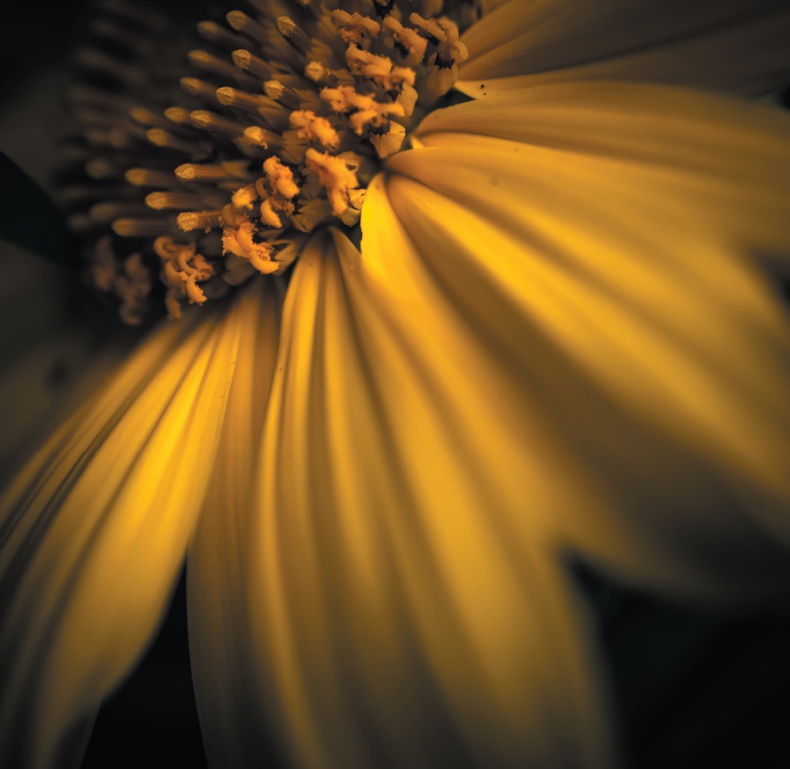 Иллюстрация к книге — Дзен-камера. Шесть уроков творческого развития и осознанности [i_061.jpg]