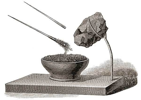 Иллюстрация к книге — Элементы: замечательный сон профессора Менделеева [_35.jpg]