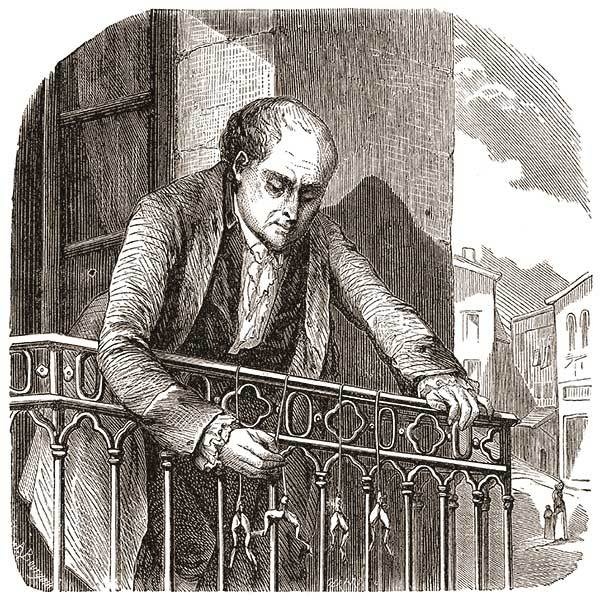 Иллюстрация к книге — Элементы: замечательный сон профессора Менделеева [_39.jpg]