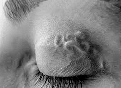 Иллюстрация к книге — Опасные соседи. Как распознать паразитов, не впасть в панику и свести вред для организма к минимуму [i_015.jpg]