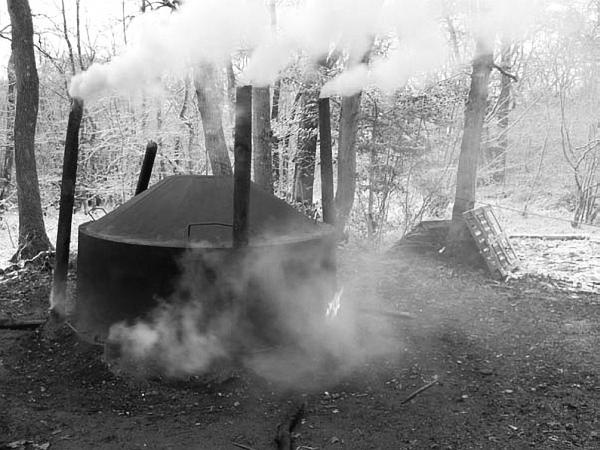 Иллюстрация к книге — Научные сказки периодической таблицы. Занимательная история химических элементов от мышьяка до цинка [i_008.jpg]