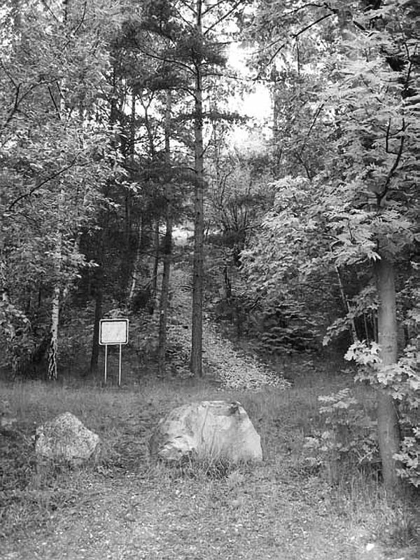 Иллюстрация к книге — Научные сказки периодической таблицы. Занимательная история химических элементов от мышьяка до цинка [i_060.jpg]