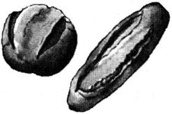 Иллюстрация к книге — Исповедь булочника [i_031.jpg]