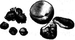 Иллюстрация к книге — Исповедь булочника [i_037.jpg]